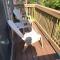 Saltbox 12F - White River Junction