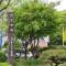 Minionz House #Free parking - Seul