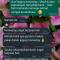 Af Legacy Homestay Alor Setar - 阿罗士打