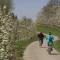 Vakantiewoning de Toren