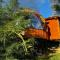 Glamping Shalom