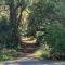7 bd 6 and one half bath with private pool spa & beach path - Хилтон-Хед-Айленд