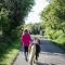 Kionslieu Farm Cottages - Foxdale