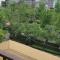 Aloha apartments by alka