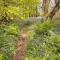 Wren 21-Hot Tub-Woodland Lodges-Tenby-Camarthenshire