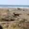 Quinault Beach Resort & Casino