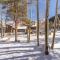 Wild Irishman #1093 by Summit County Mountain Retreats