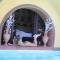 Villa Amalia Resort for family & friends