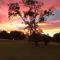 The Sunset Grove of Franklin, TN - Franklin