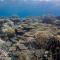 Chumbe Island Coral Park - Mbweni