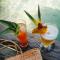 Urraca Monkey Island Eco Resort