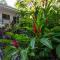 Four Winds Properties A Short Walk to the Beach - Nosara