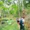 Bukit Lawang Backpacker JungleTrekking Only Booking with us - Timbanglawang 1
