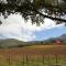 Mountain View and Vineyard View - Suider-Paarl