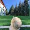 Mountain-Rest Pension