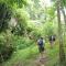 Bukit Lawang Backpacker JungleTrekking Only Booking with us - Timbanglawang 1