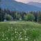 Cottages Kriva Breza