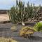 Villa Timanfaya