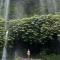 hendra homestay