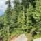 Aditya Homestay Dalhousie