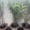 2BHK Chandra Jyoti Villa NIT Garden Nagpur