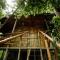 JUNGLE PARADISE FARM & GUEST HOUSE