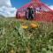 Aigul Yurt Camp - At-Bashy