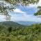Above The Clouds with Wintergreen Advantage - Wintergreen