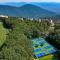 Above The Clouds with Wintergreen Advantage - Wintergreen