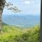 Above The Clouds with Wintergreen Advantage - Wintergreen