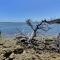 Ocean View Gem Ocean Pointe 3406 - Key Largo