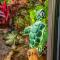 Tortuga Premium Riverfront Jungle Villa with Jacuzzi and Pool