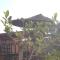 Riad Hiba