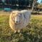Rural retreat with the most incredible views! - Kahuranaki