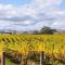 89 In The Vines - Martinborough 
