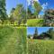 Dog friendly gîte with private Garden, jacuzzi and pool - Penne-dʼAgenais