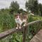 Gite esprit loft - Fromelles