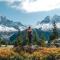 Apartment Jonquille 2C - Chamonix Peaks Getaway