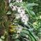 Natures Lap Homestay
