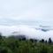 Natures Lap Homestay