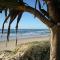 Horizons At Peregian
