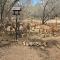 Dindingwe - Marloth Park