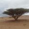 Feynan wild camp