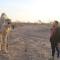 Feynan wild camp