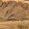 Feynan wild camp