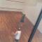 Landscape Apartment TC1502
