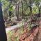 Crystal Cottage Retreat- Escape to the Hinterland!
