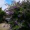 Cozy tiny home in Ulladulla