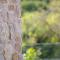 Relais Ca Bago -adults only