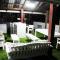 Tranquility @The Heights